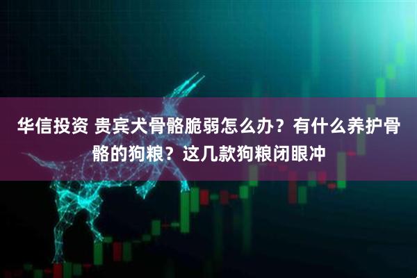 华信投资 贵宾犬骨骼脆弱怎么办？有什么养护骨骼的狗粮？这几款狗粮闭眼冲