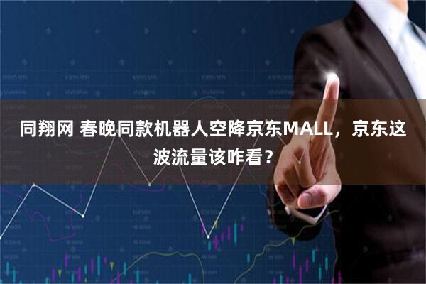 同翔网 春晚同款机器人空降京东MALL，京东这波流量该咋看？
